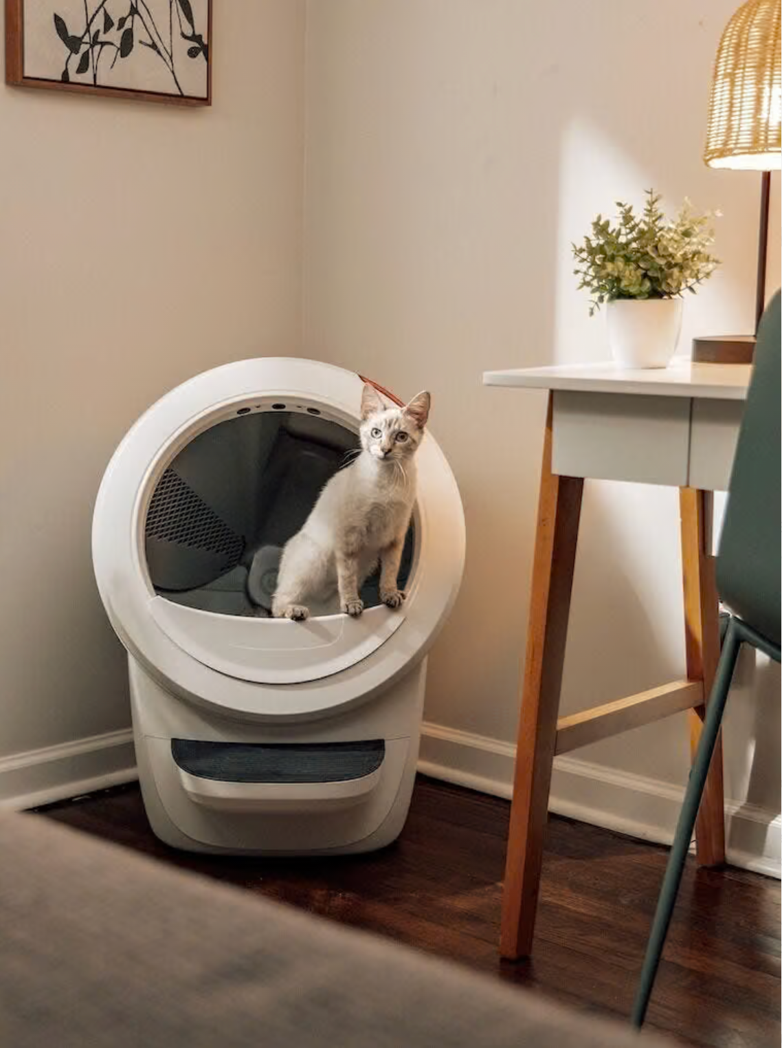 Litter-Robot® 4
